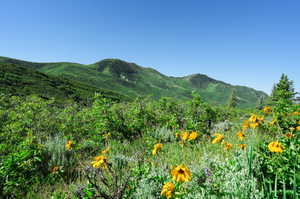 View of mountain view