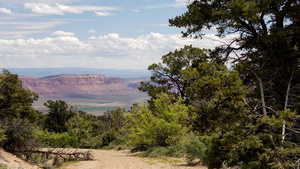 Old stock trail leading to Buckeye Reservoir and Manti LaSal Nat. Forest