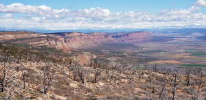 Top of the trail from the home