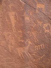 Nearby petroglyphs