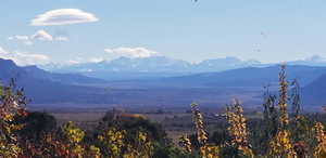 View from the front porch