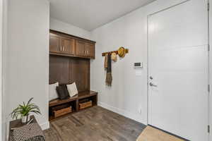 Mudroom featuring dark wood-type flooring