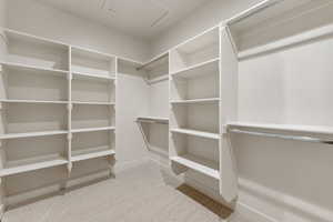 Spacious closet featuring light carpet