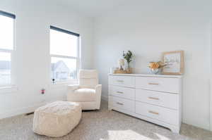 Sitting room featuring a wealth of natural light and light carpet