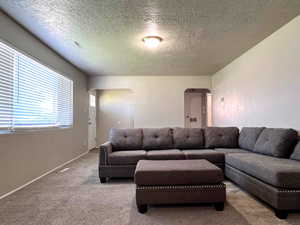 Carpeted living room with a textured ceiling