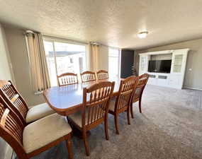 Carpeted dining area featuring a textured ceiling