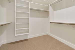 Walk in closet with carpet floors