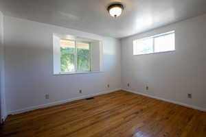 Empty room with a wealth of natural light and wood-type flooring