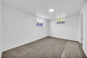 Basement bedroom 5 with ensuite.