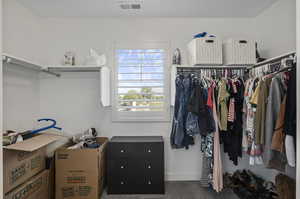 Walk in closet with carpet floors