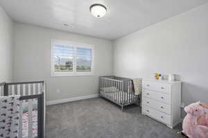 Bedroom with carpet flooring and a nursery area