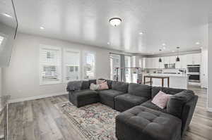 Living room featuring light hardwood / wood-style flooring and a textured ceiling