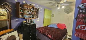 Bedroom with ceiling fan