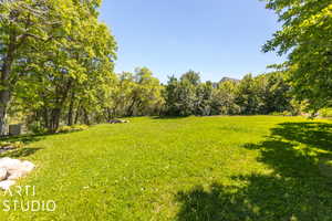 View of side yard