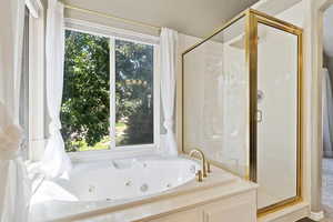 Master bathroom jetted tub