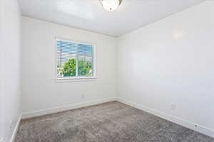 View of carpeted spare room