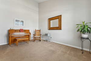 Miscellaneous room with carpet flooring