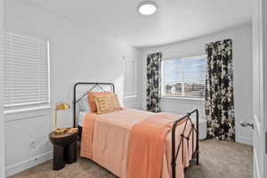 Bedroom featuring carpet