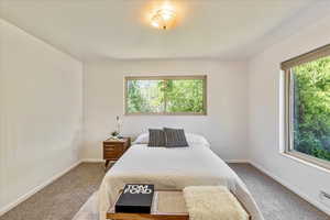 Carpeted bedroom with multiple windows