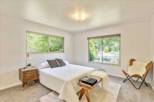 Carpeted bedroom with multiple windows