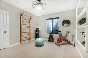 Workout area featuring carpet flooring