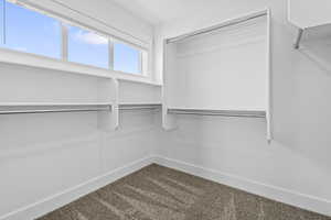 Spacious closet featuring carpet floors