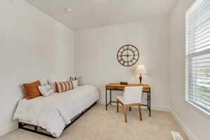 Bedroom featuring multiple windows and light colored carpet