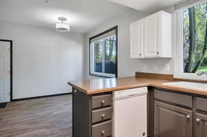 Kitchen featuring gray cabinets, sink, dishwasher, and white cabinetry