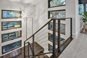 Stairs with dark colored carpet