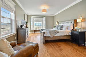 Bedroom with light wood-type flooring and crown molding