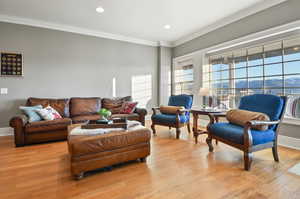 Living room with a mountain view, light hardwood / wood-style floors, and ornamental molding