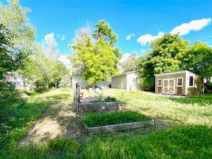 Large lush backyard with raised garden boxes.