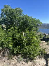 Lot boundary to the right next to the neighbor's house