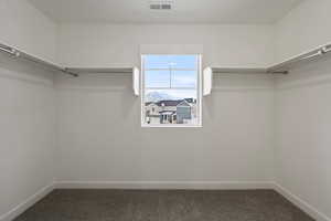 Spacious closet with carpet flooring