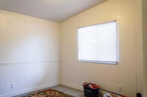 Spare room featuring lofted ceiling and a wealth of natural light