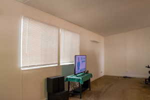 Sitting room with carpet flooring