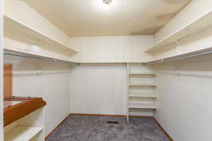 Walk in closet featuring carpet