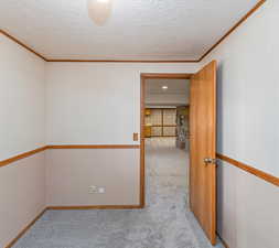 Spare room with light carpet, crown molding, and a textured ceiling