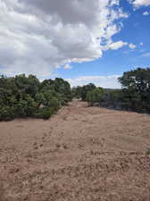 View of local wilderness