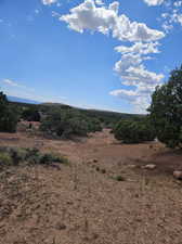 View of local wilderness with a rural view