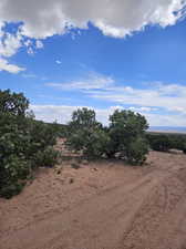 View of local wilderness