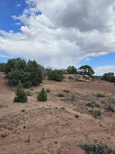 View of nature featuring a rural view