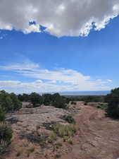 View of local wilderness