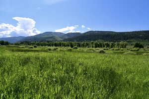 View of property view of mountains