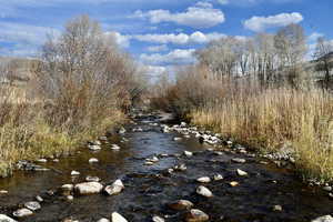 View of local wilderness featuring a water view