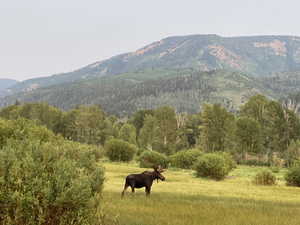 View of property view of mountains