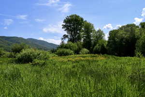 View of property view of mountains