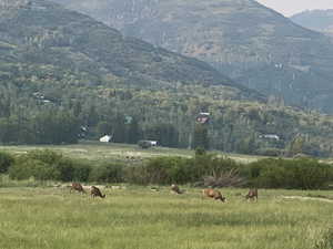 View of mountain feature with a rural view