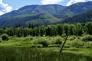 View of property view of mountains