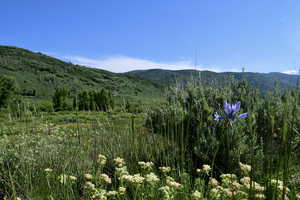 View of mountain view